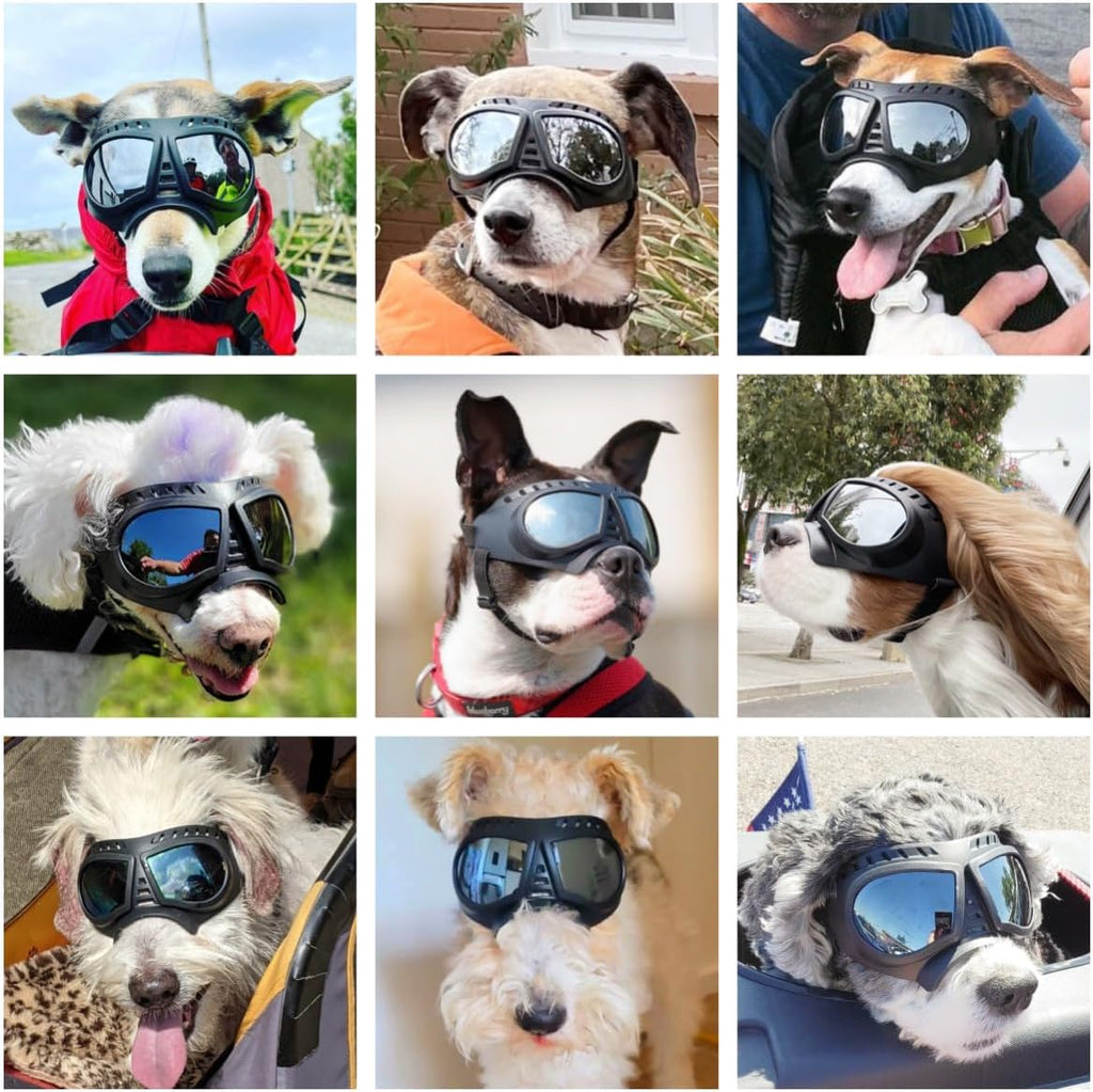 Skull-Bridge Dog Goggles