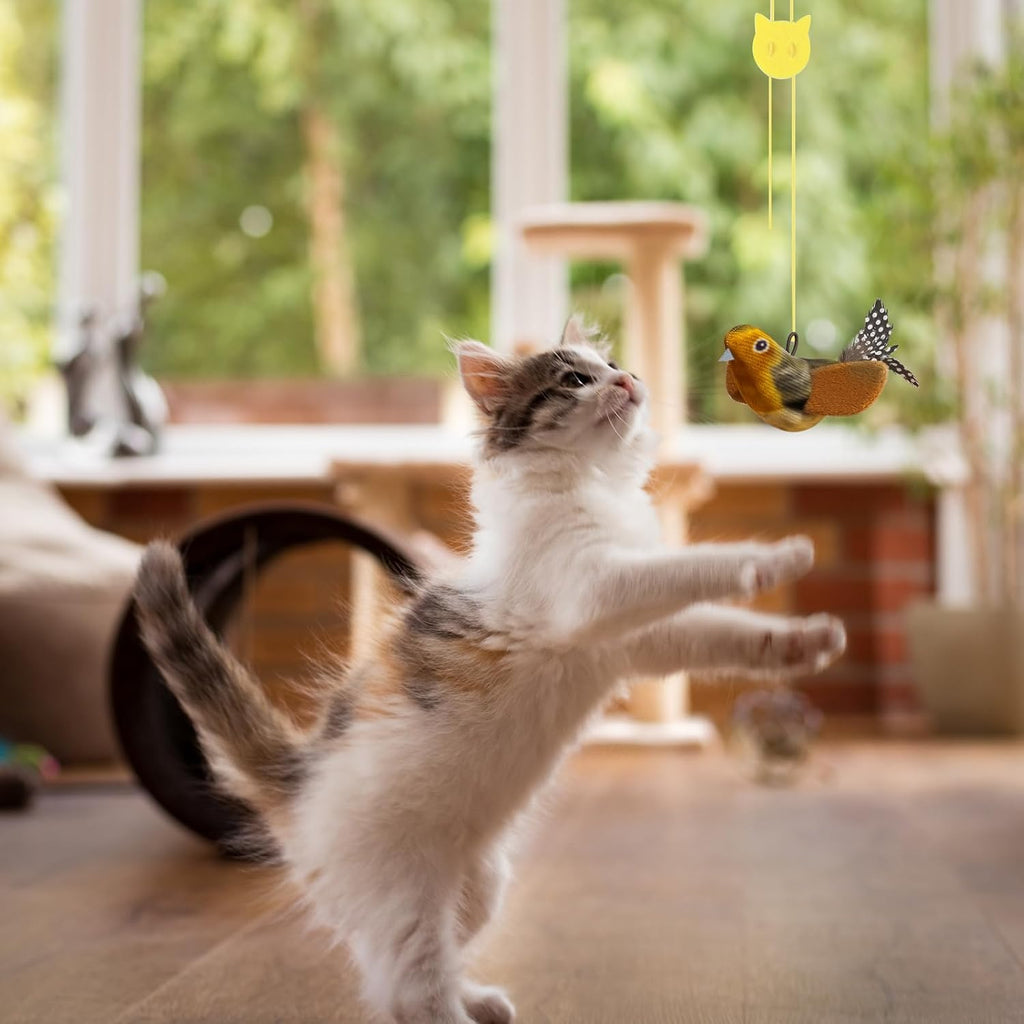 Hanging Bird Cat Toy with Elastic Cord