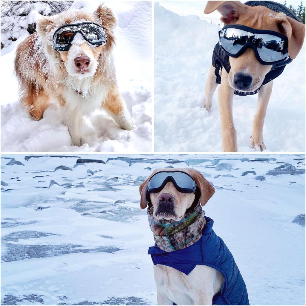 Large Dog Ski Goggles with Adjustable Straps