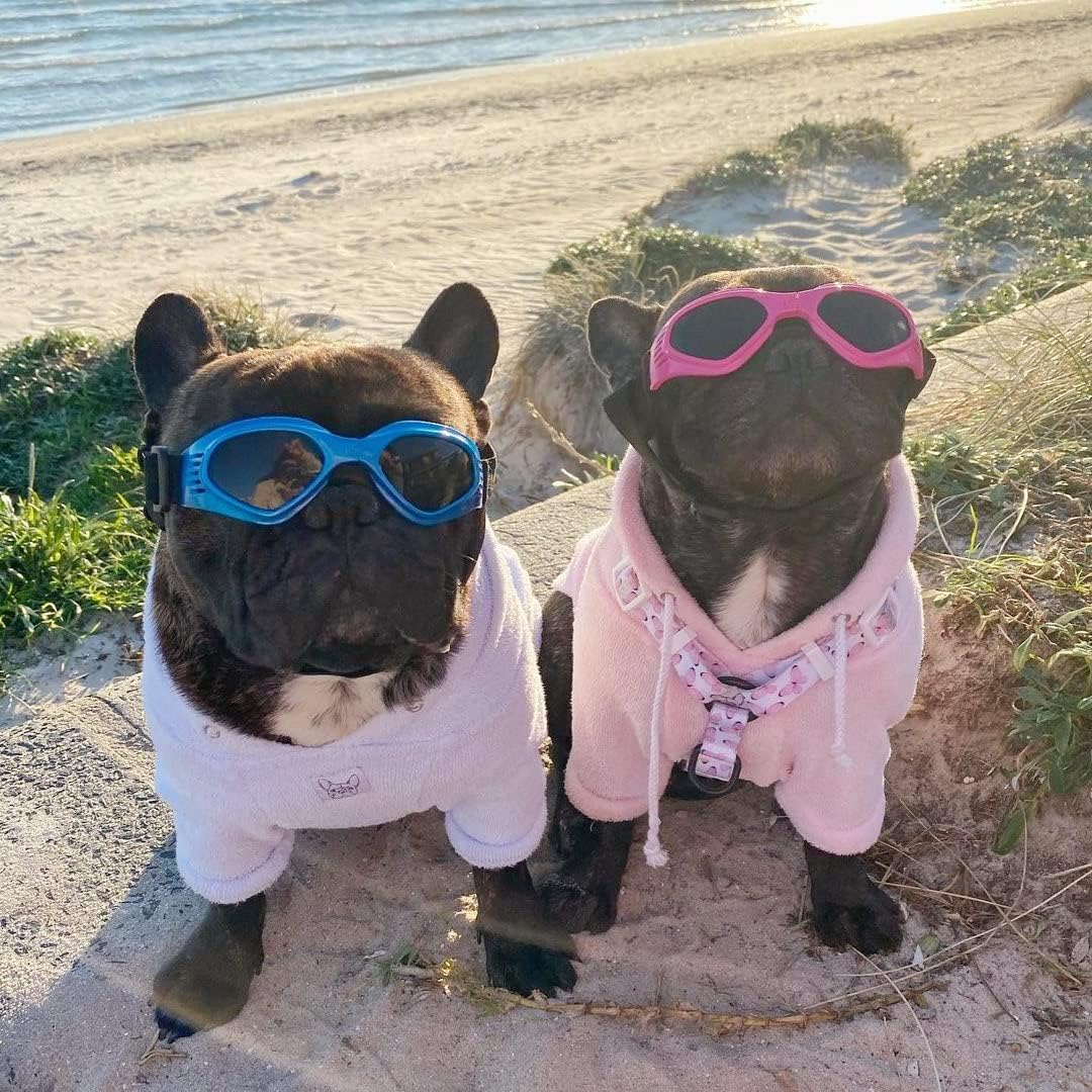 Cat-Eye Dog Sunglasses with Adjustable Strap