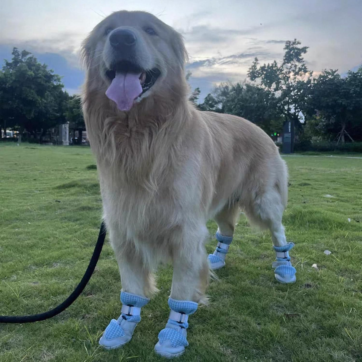 Breathable Mesh Dog Shoes with Adjustable Straps