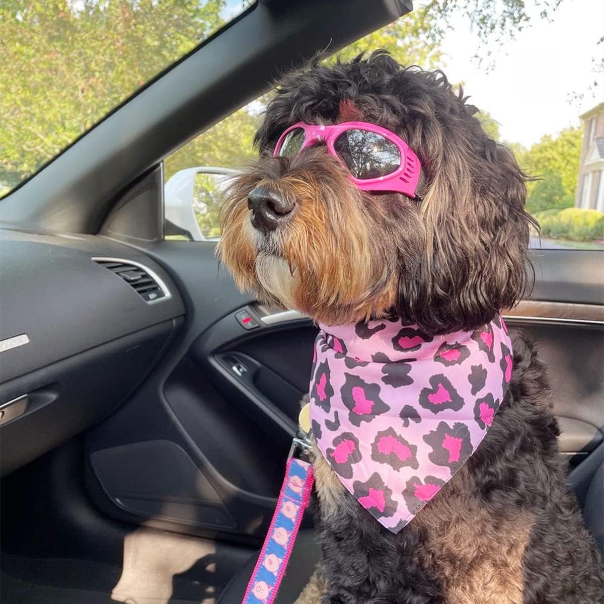Cat-Eye Dog Sunglasses with Adjustable Strap