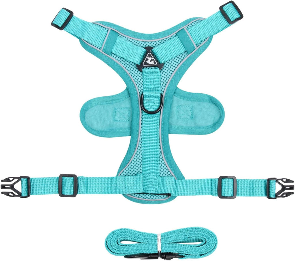 Reflective Pet Harness and Leash Set – Adjustable Escape Proof Soft Mesh Vest for Indoor & Outdoor Walking