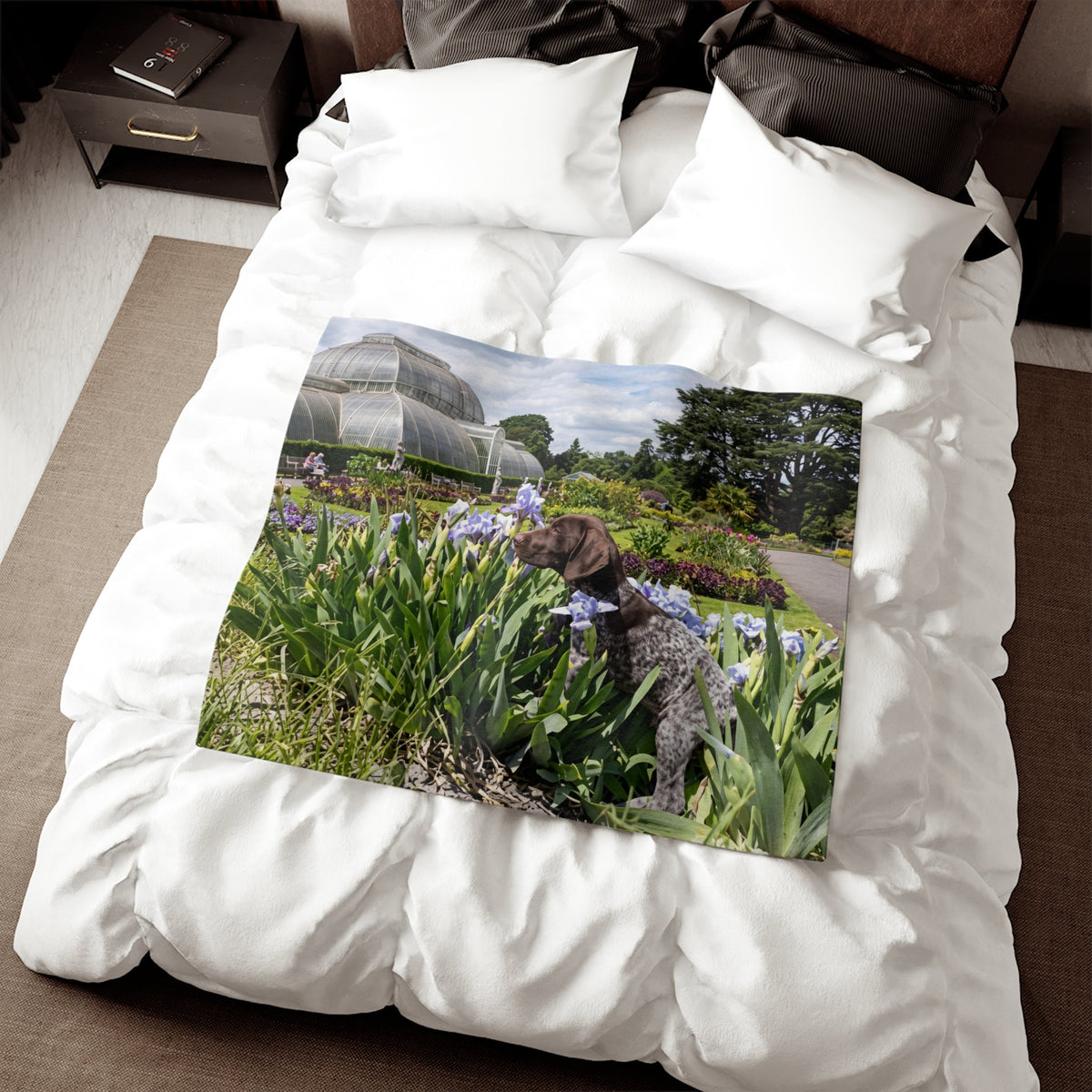 Pointer Dog Blanket