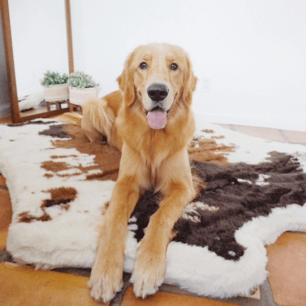PupRug® Animal Print Memory Foam Dog Bed - Brown Faux Cowhide