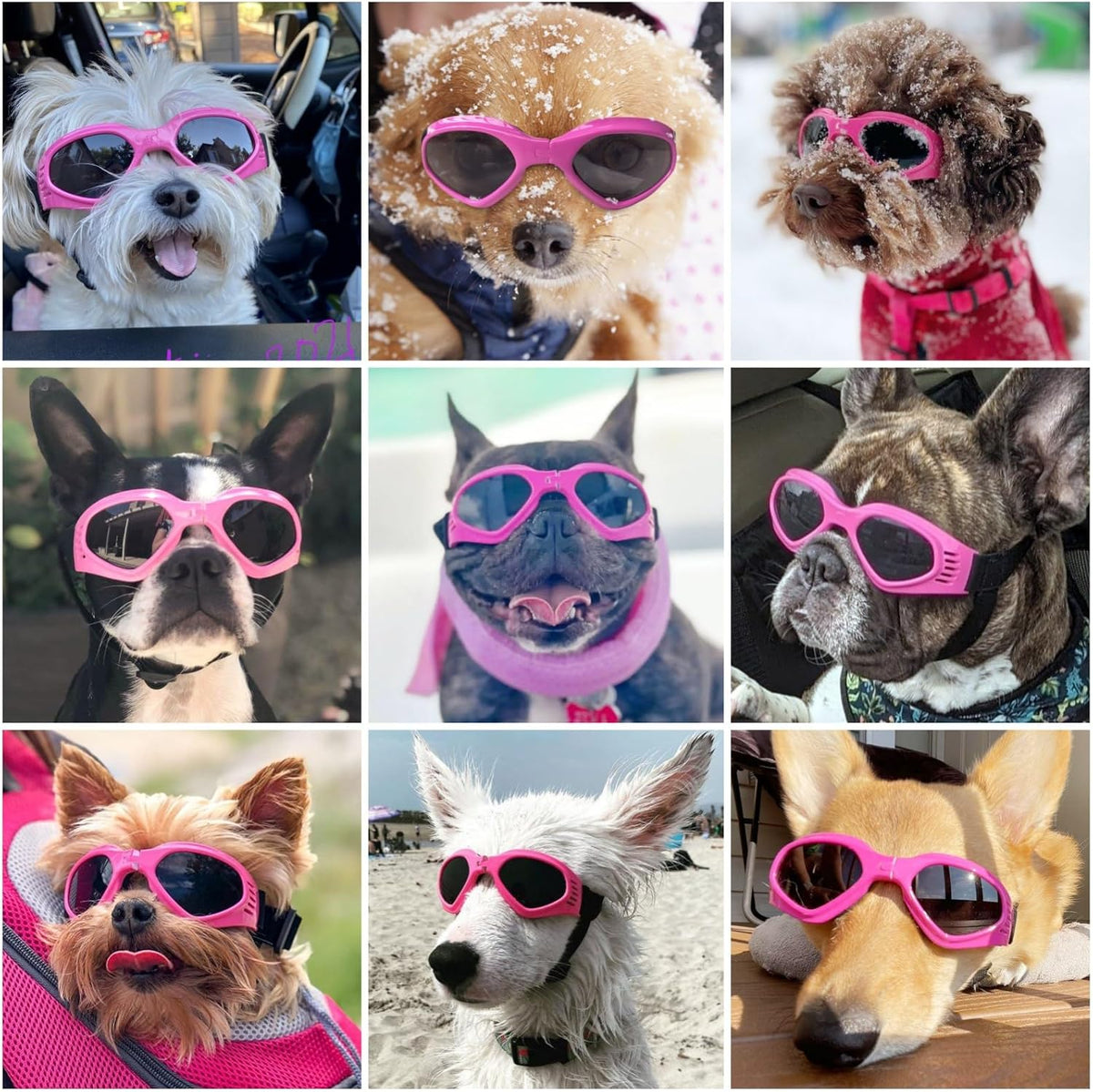 Cat-Eye Dog Sunglasses with Adjustable Strap