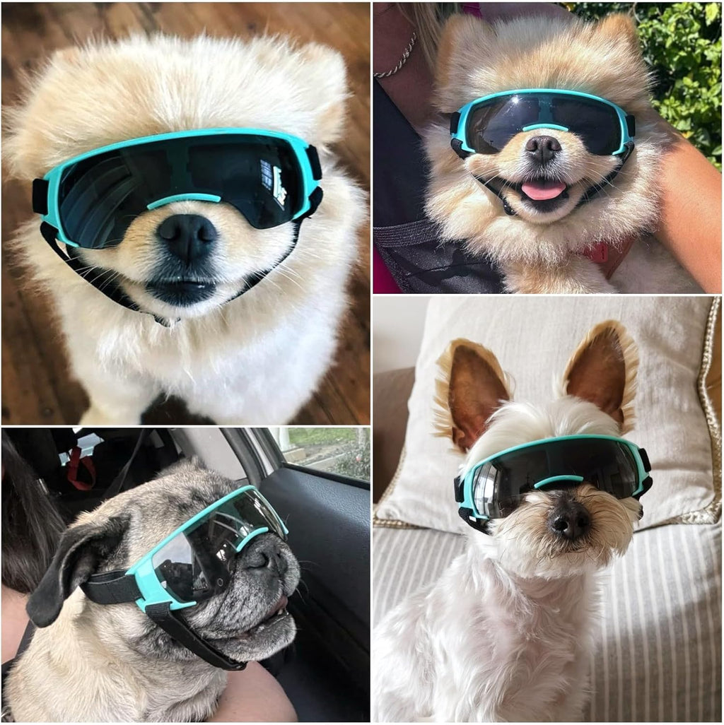Wraparound Dog Goggles for Small Dogs