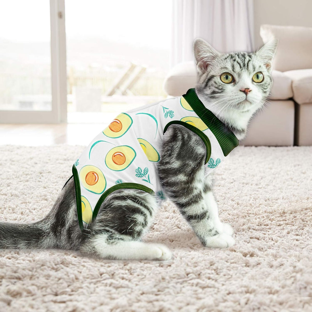 Post-Surgery Dog Recovery Suit