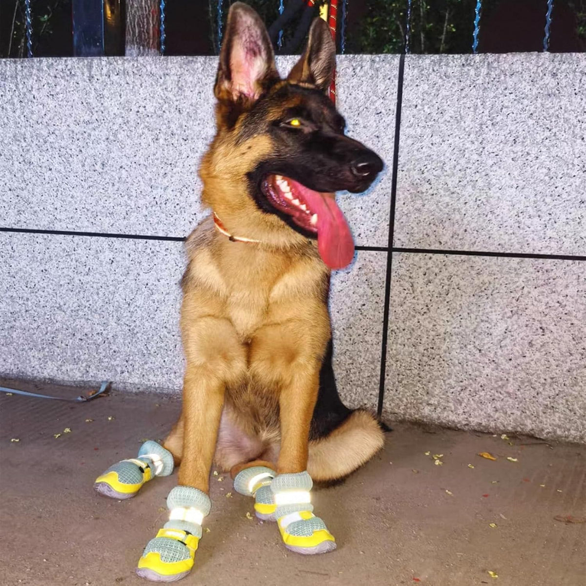 Breathable Mesh Dog Shoes with Adjustable Straps