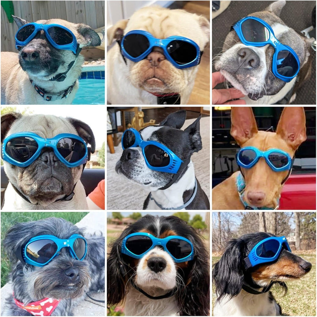 Cat-Eye Dog Sunglasses with Adjustable Strap