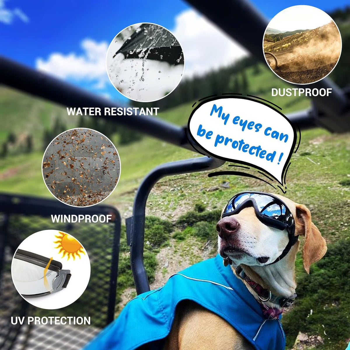 Large Dog Ski Goggles with Adjustable Straps
