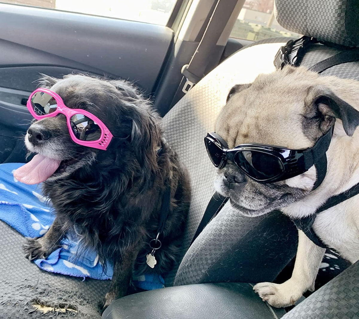 Cat-Eye Dog Sunglasses with Adjustable Strap