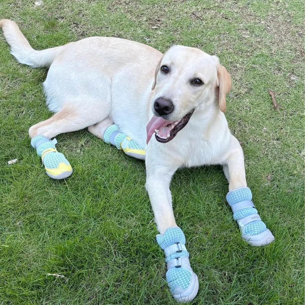 Breathable Mesh Dog Shoes with Adjustable Straps