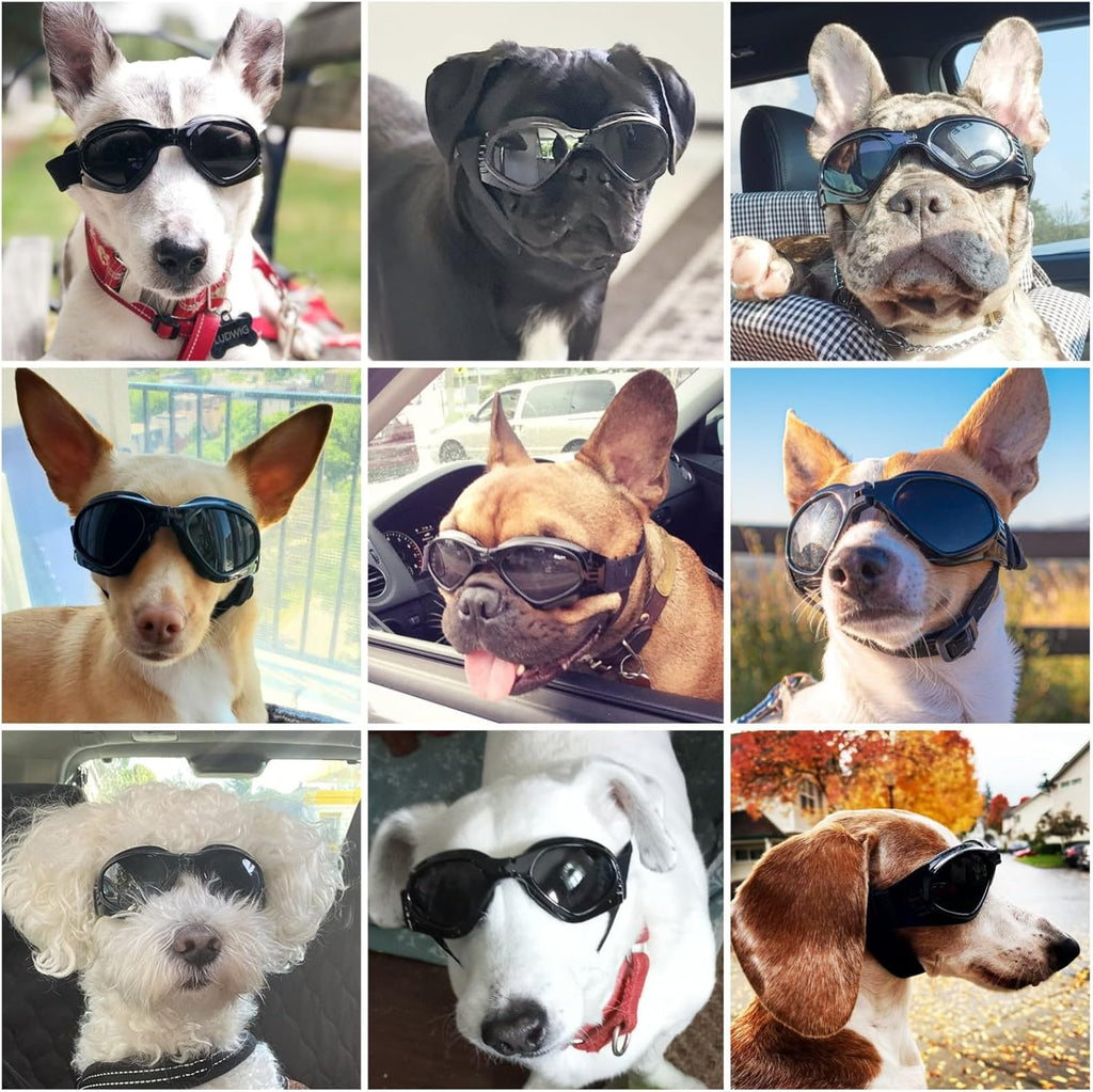 Cat-Eye Dog Sunglasses with Adjustable Strap