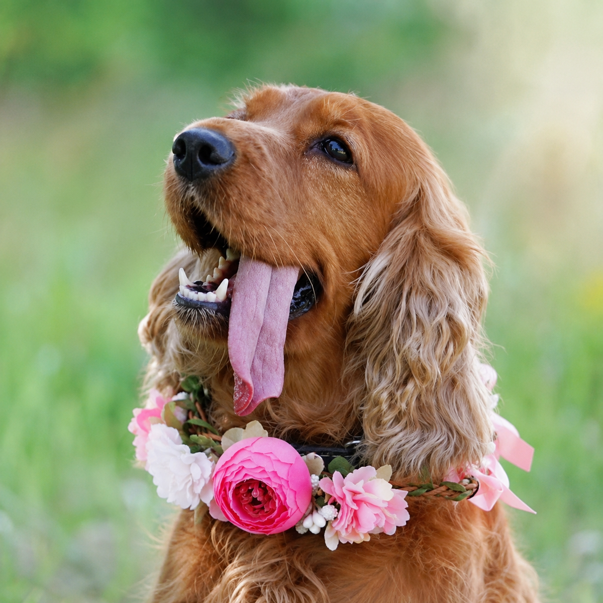 Floral Crown Pet Headpiece with Ribbon Ties