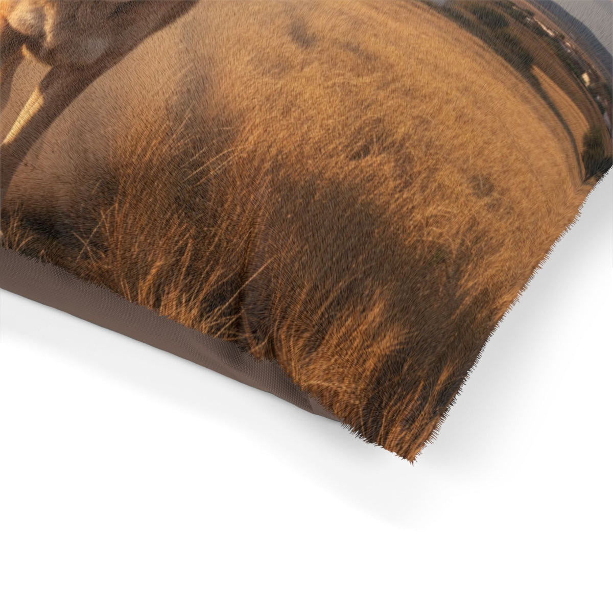 Spanish Mastiff Pet Bed