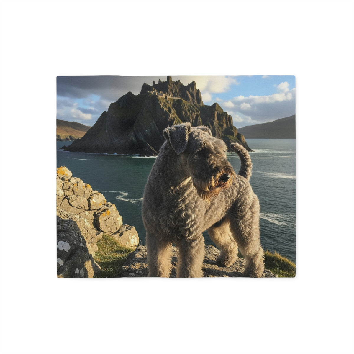 Kerry Blue Terrier Blanket