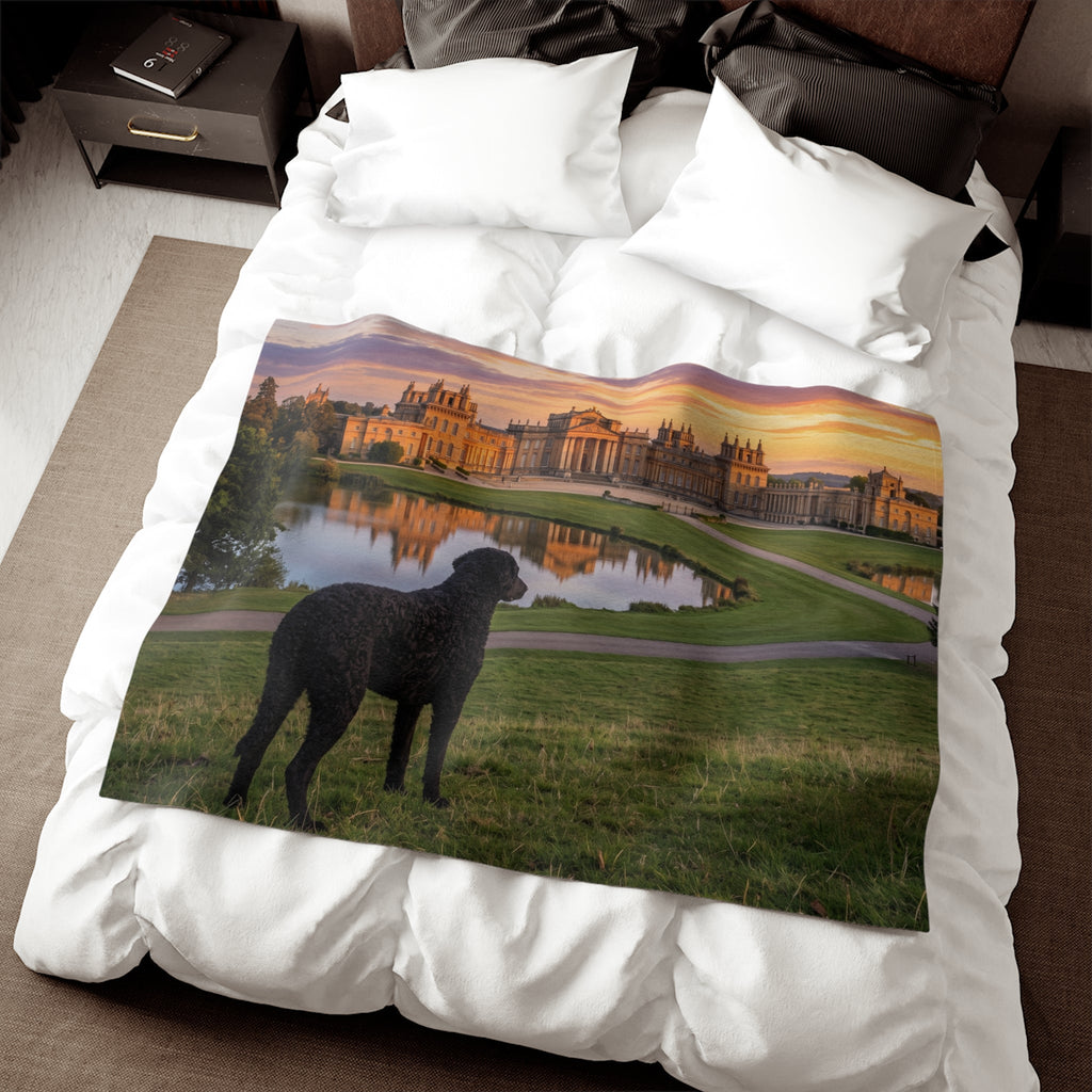 Curly Coated Retriever Blanket