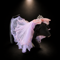 Tulle Tiara Pet Veil Headpiece