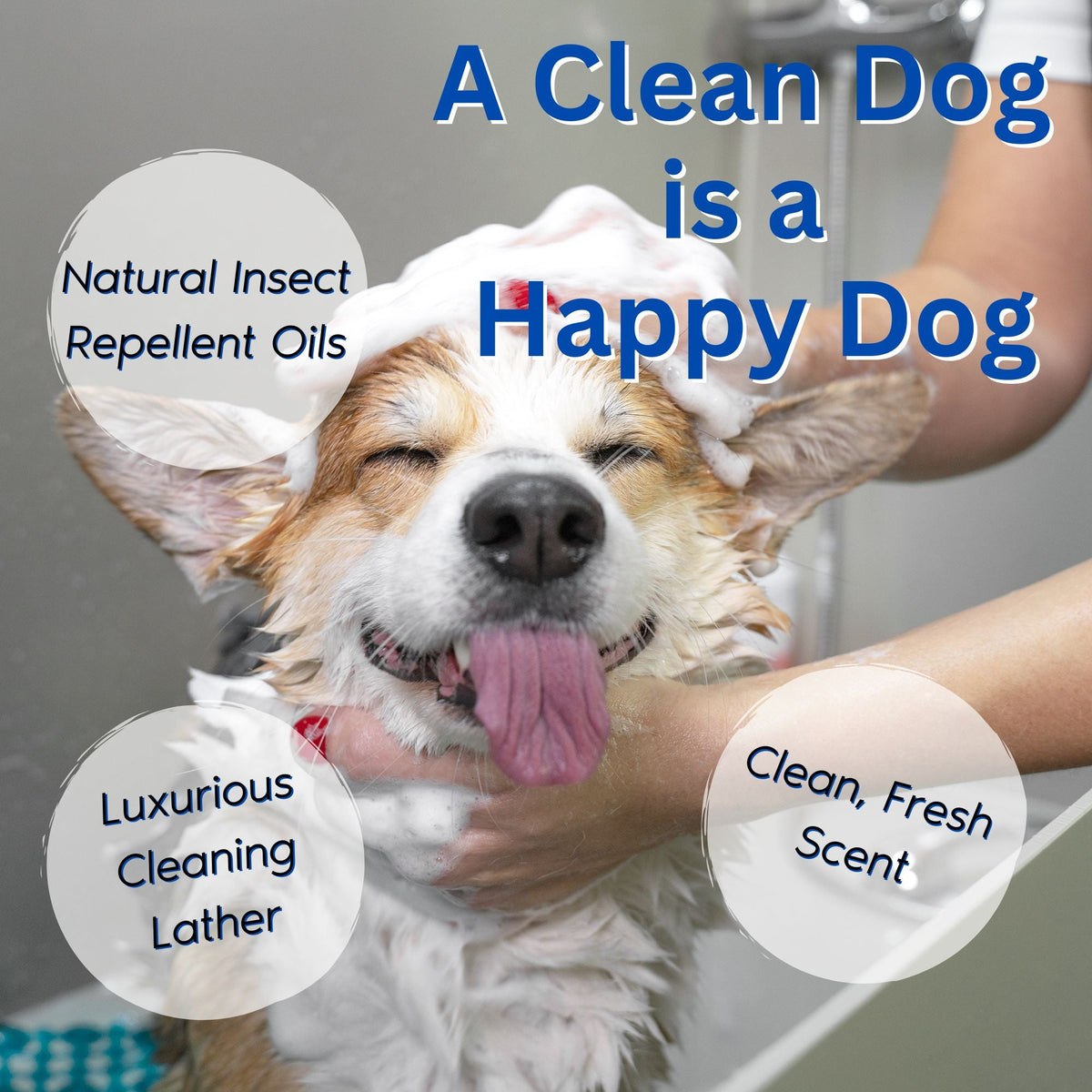 Natural Flea & Tick Removal Shampoo - Citrus Scented