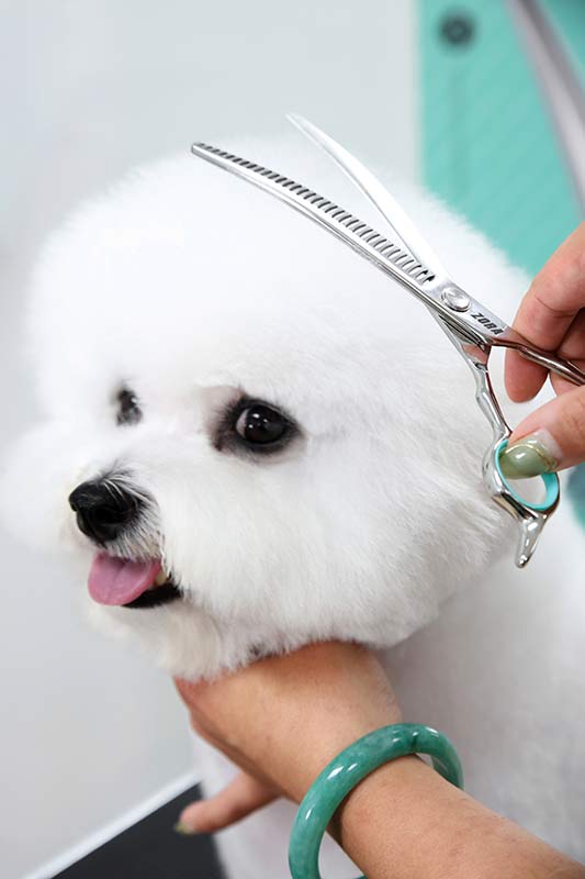 Zora Pet Grooming Curved Blender Shear - Model A-7533C