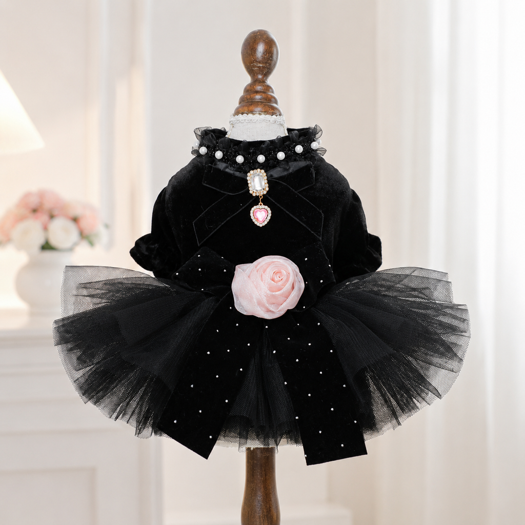 Black Velvet Rose Dog Dress