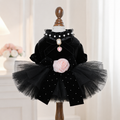 Black Velvet Rose Dog Dress