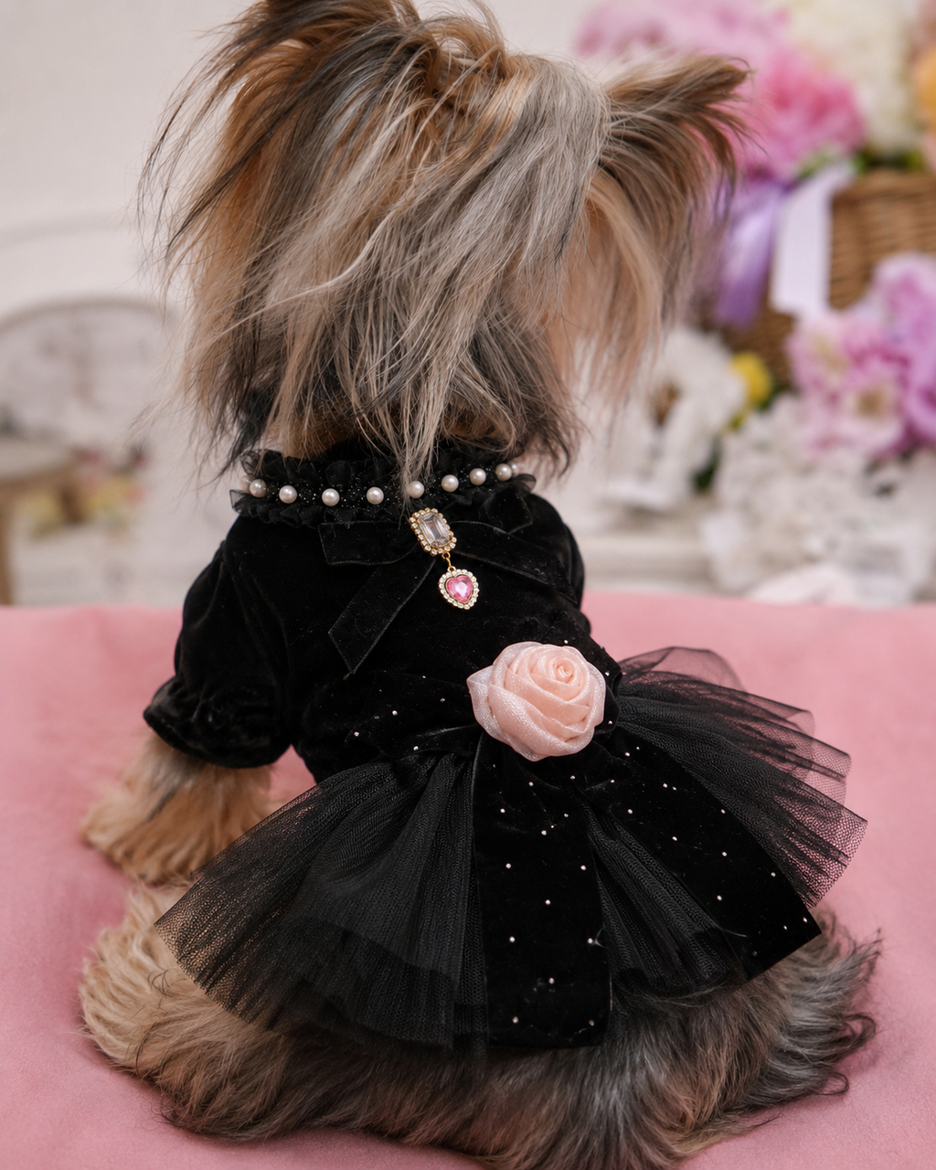 Black Velvet Rose Dog Dress