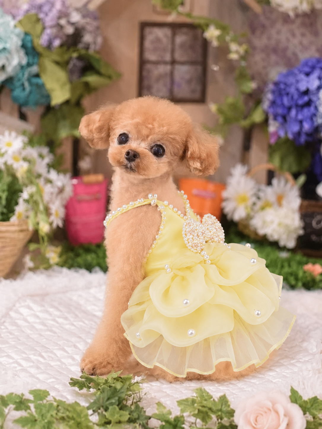 Yellow Pearl Princess Dog Dress