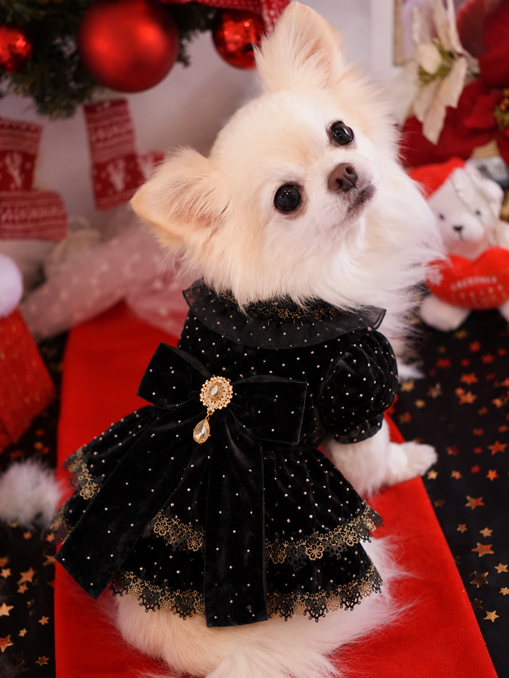 Black Velvet Polka Dot Dog Dress