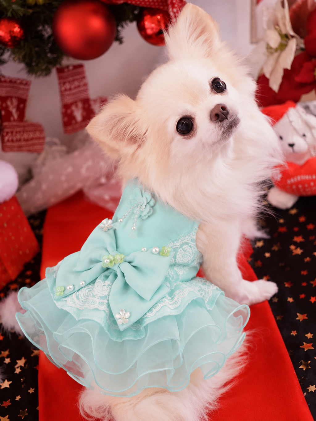 Mint Blue Princess Dog Dress with Lace Bow