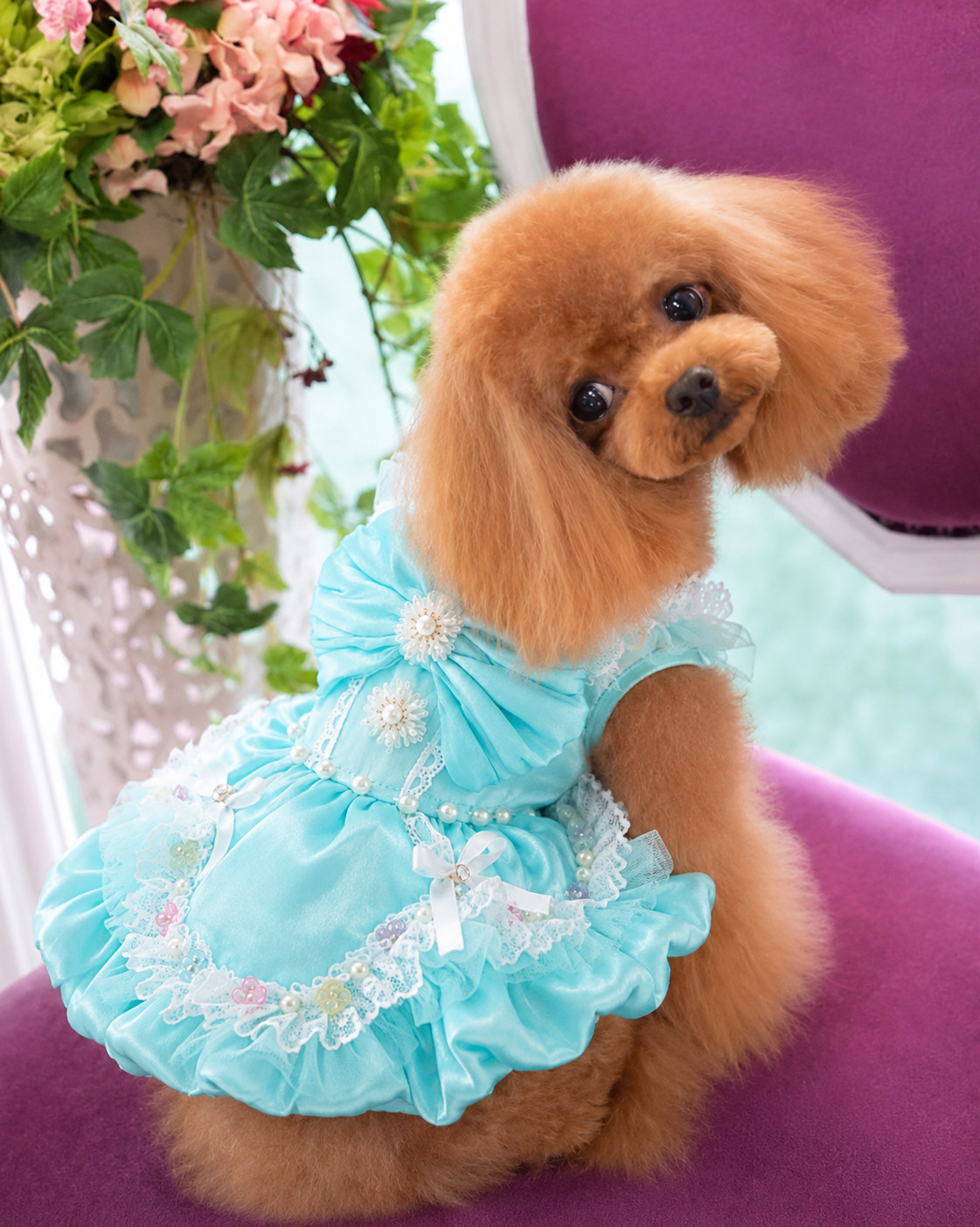 Aqua Blue Princess Dog Dress with Lace Bow