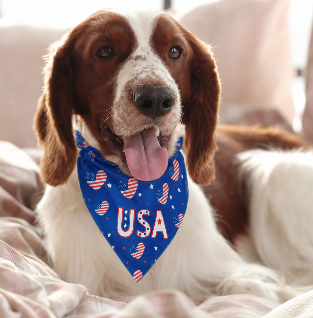 Blue USA Heart Print Dog Bandana