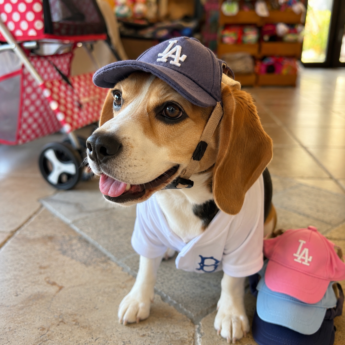 Pet Baseball Cap with Ear Holes
