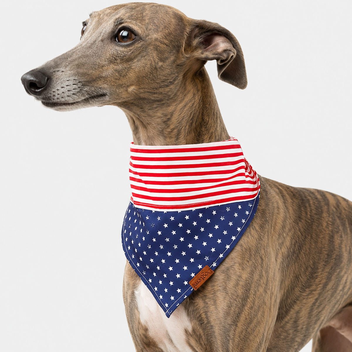 Stars and Stripes Dog Bandana