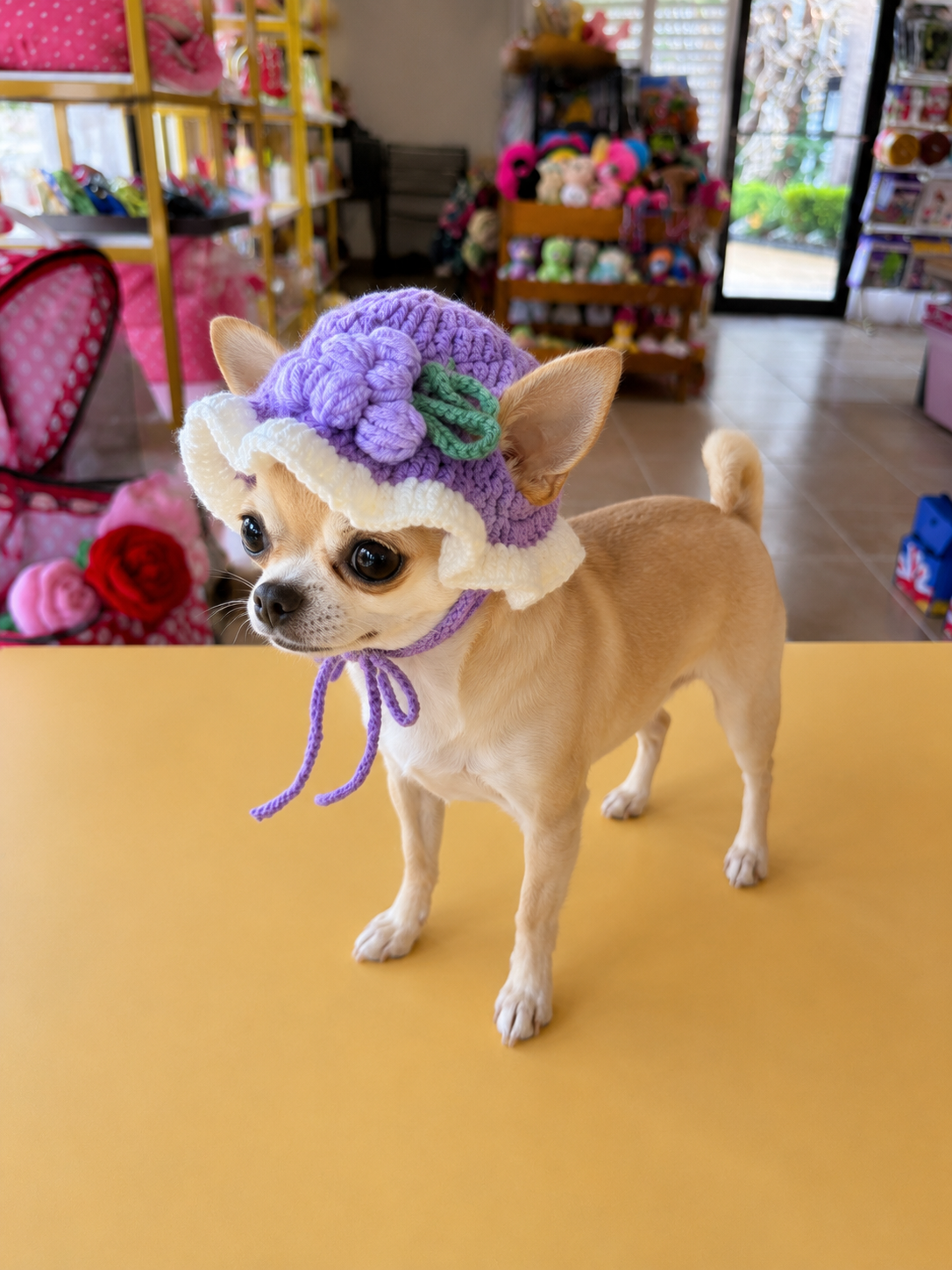 Crochet Flower and Grape Pet Hat