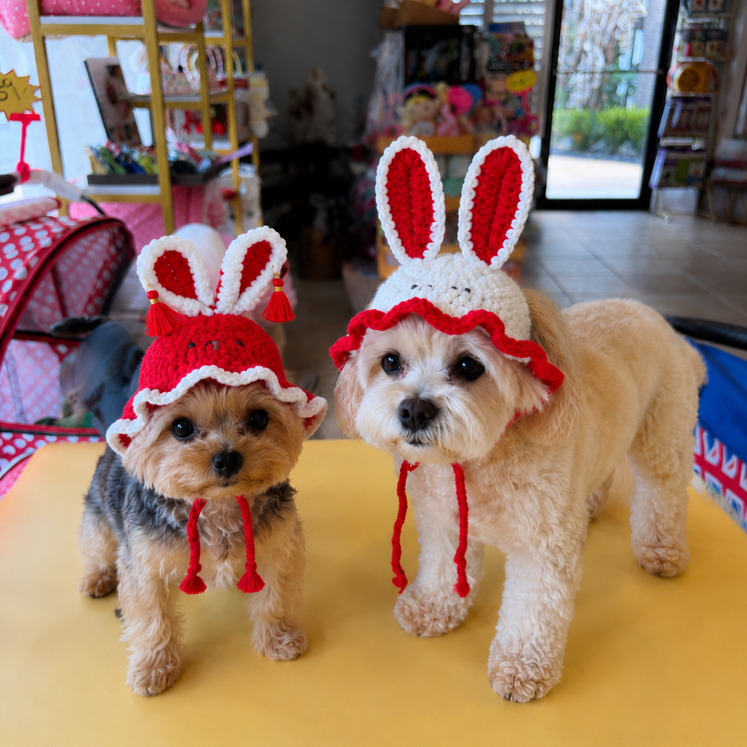 Crochet Bunny Ear Pet Hat