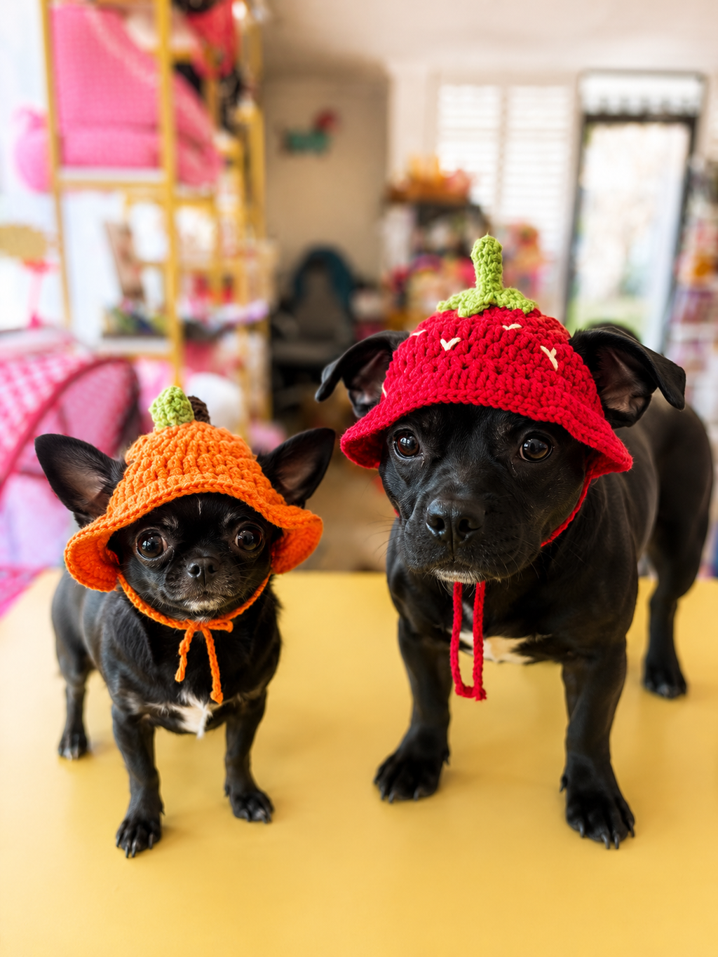 Crochet Fruit Pet Hat Set