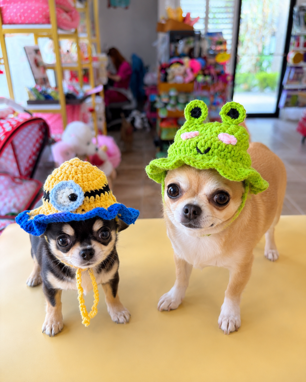 Crochet Frog Pet Hat