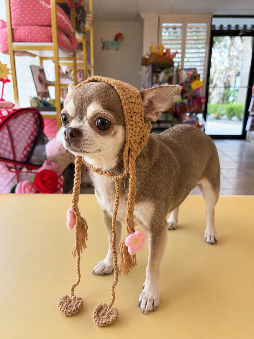 Crochet Puppy Bonnet Pet Hat