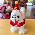 Crochet Fast Food Pet Hat and Collar Set
