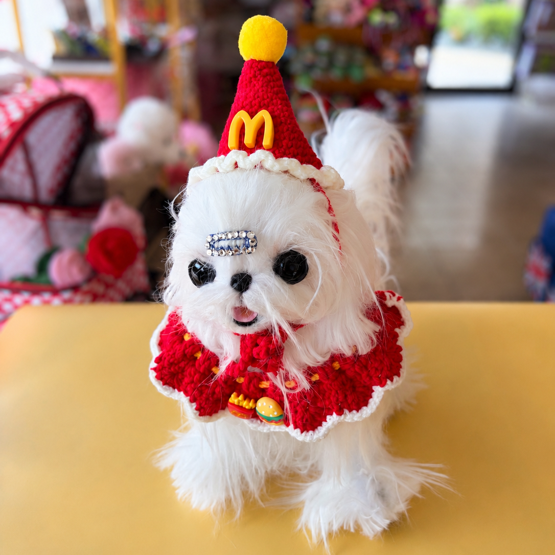 Crochet Fast Food Pet Hat and Collar Set