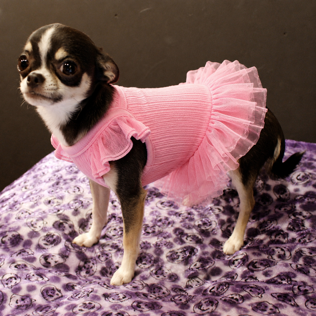 Flutter Sleeve Dog Tutu Dress with Tulle Skirt