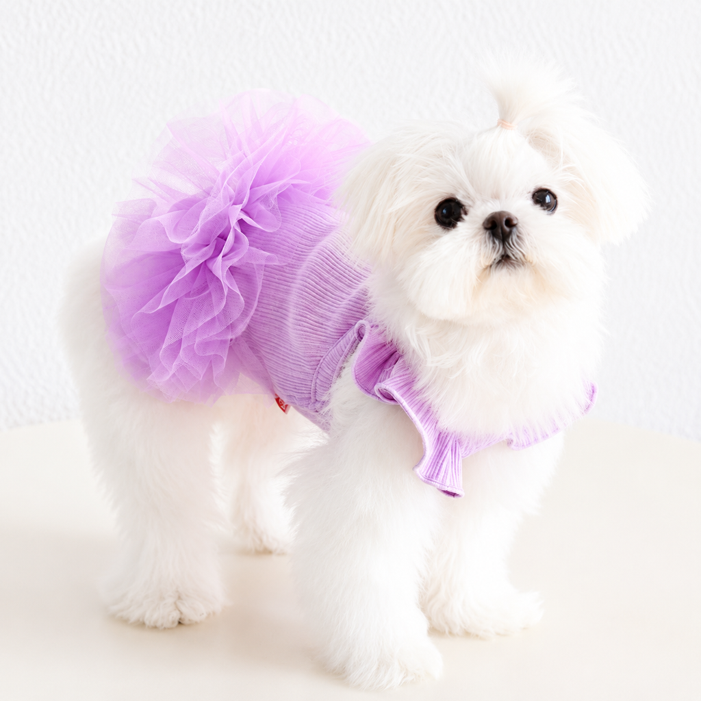 Flutter Sleeve Dog Tutu Dress with Tulle Skirt