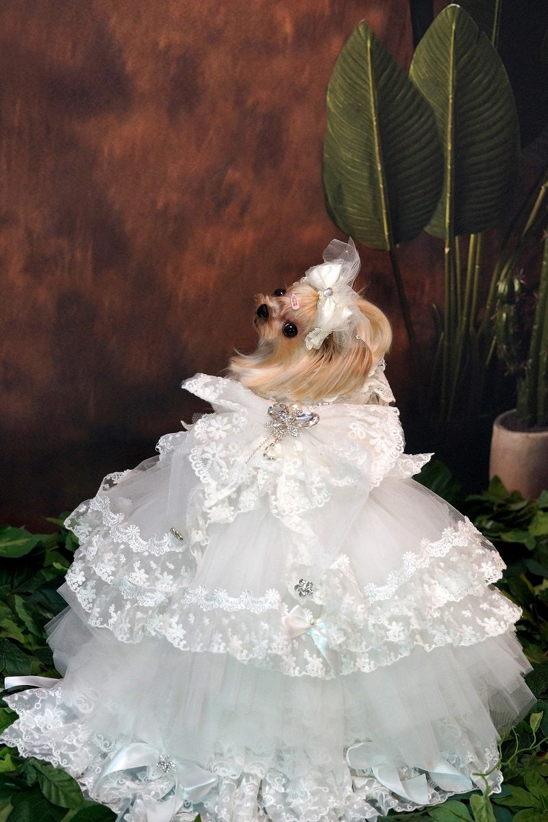 Luxury Victorian Lace Dog Gown with Pearl Bridal Detail