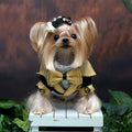 Gold and Black Royal Dog Tuxedo Shirt