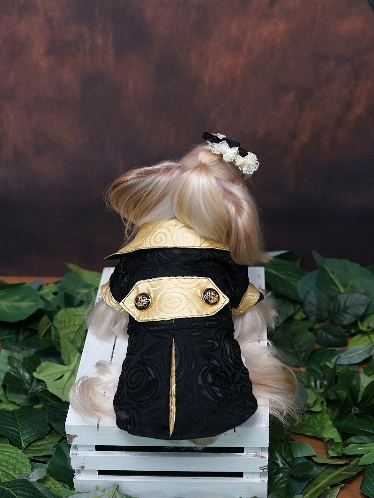 Gold and Black Royal Dog Tuxedo Shirt