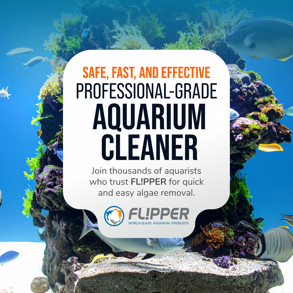 Flipper NANO FLOAT 2 in 1 Magnetic Aquarium Algae Cleaner