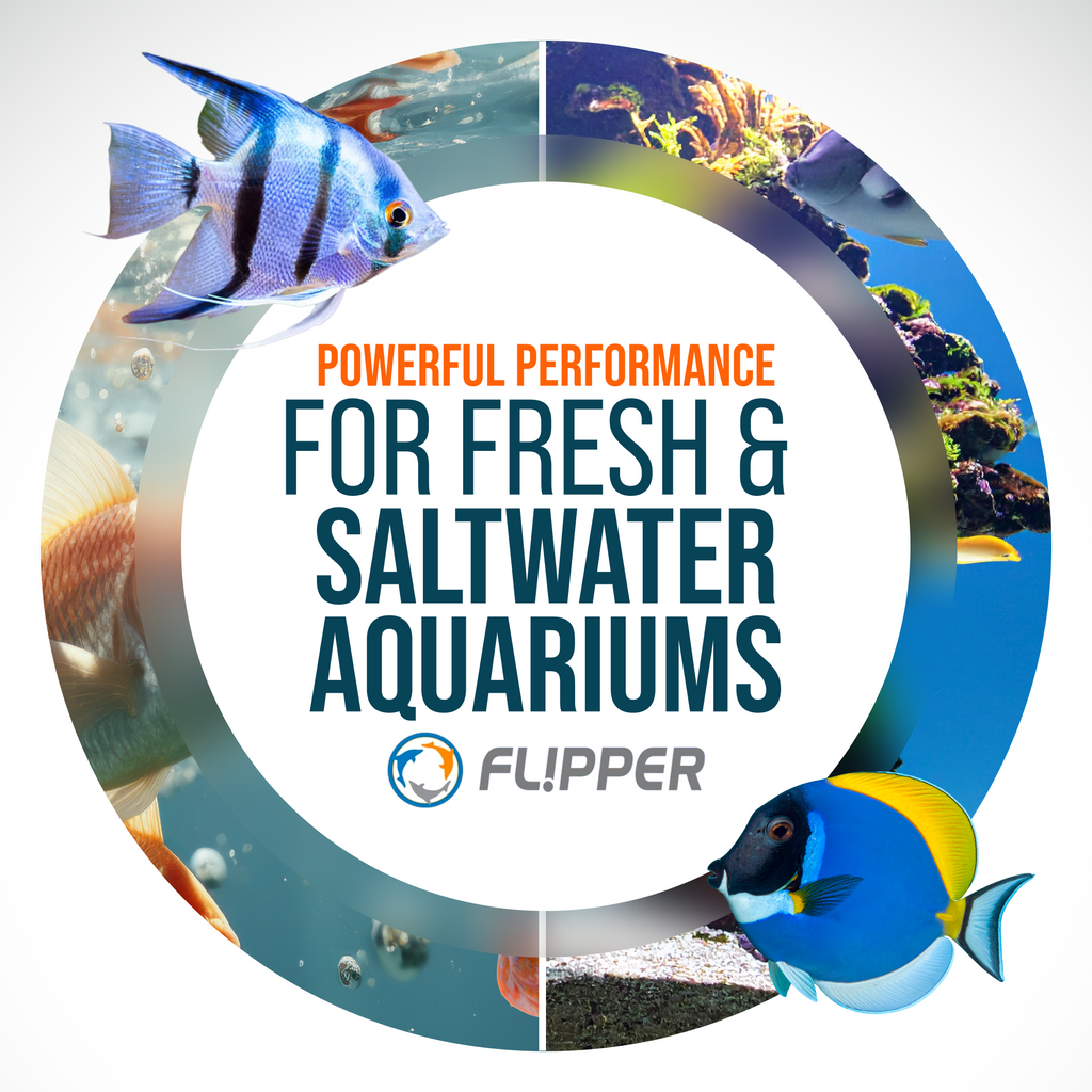 Flipper Pico Black 2-in-1 Aquarium Magnet Cleaner