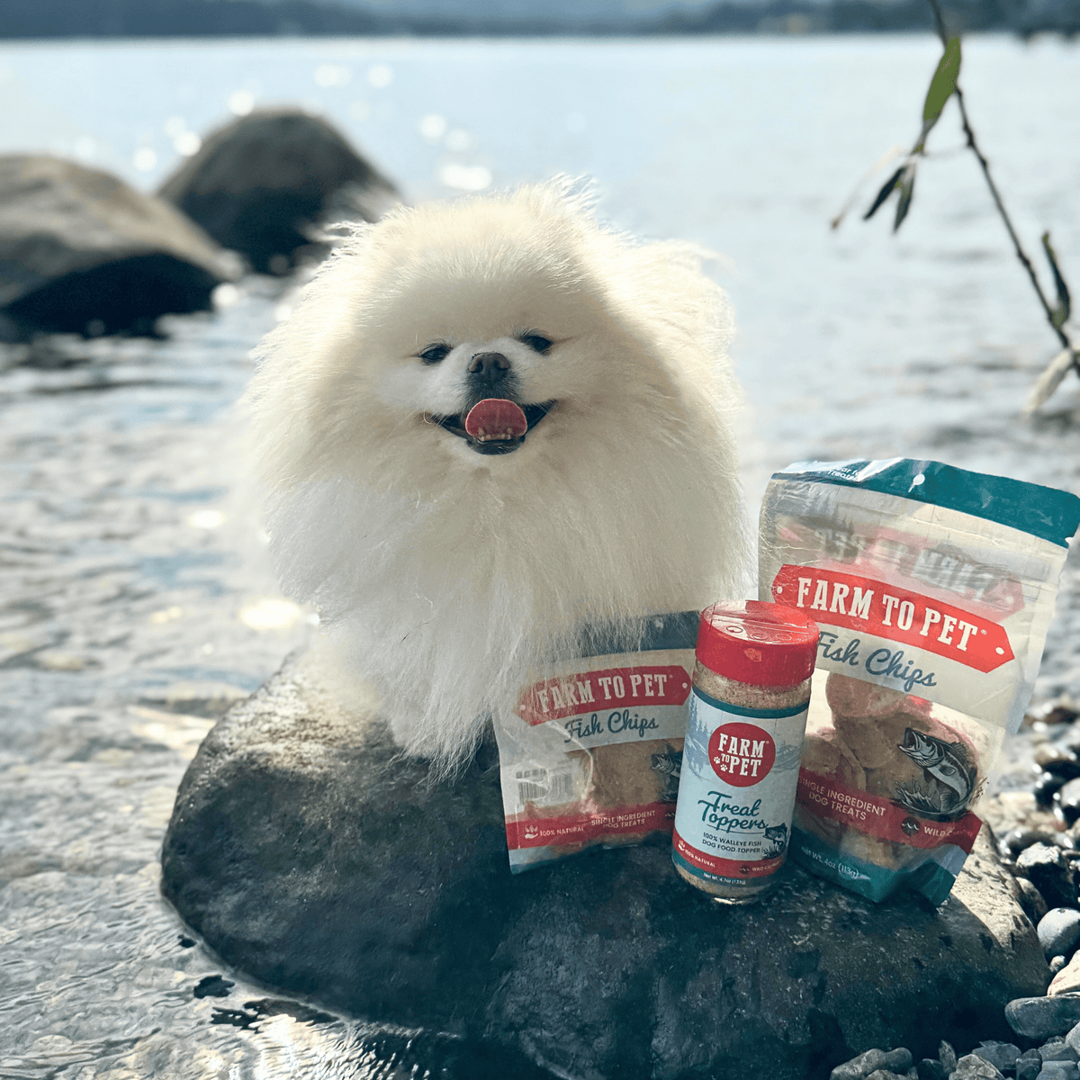 Treat Topper Fish Dog Food Topper | Low-Fat Meal Topper for Pets